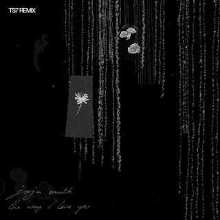 The Way I Love You (TS7 Remix)