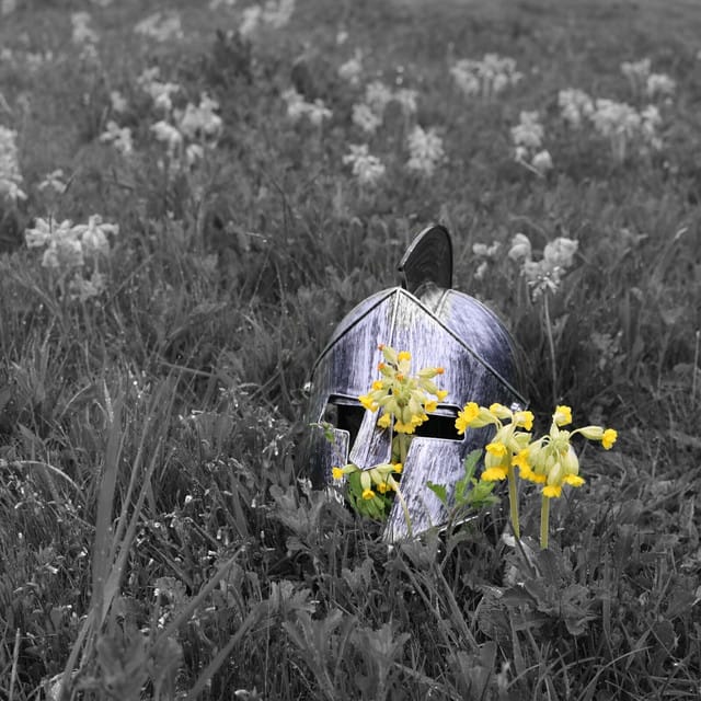 Knight In Shining Armour