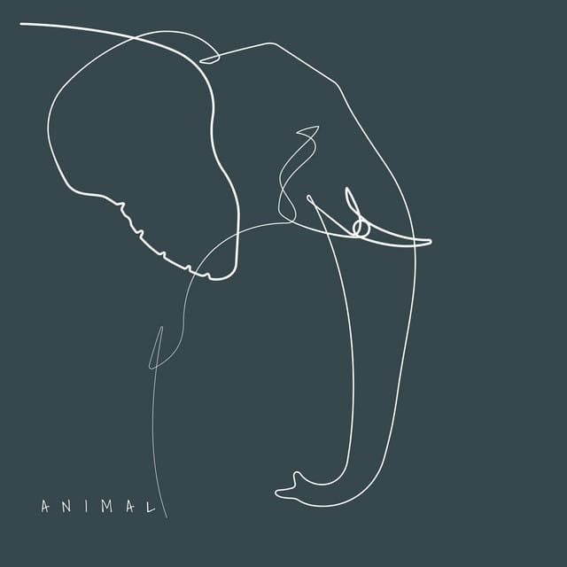 Animal - Single