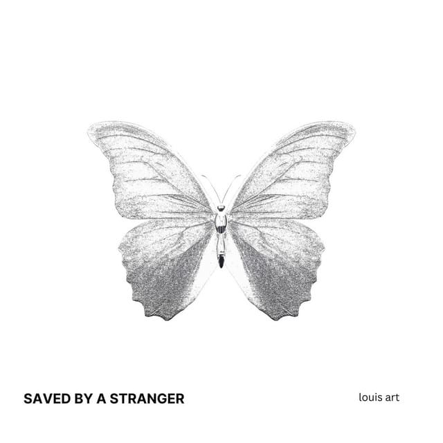 Saved by a Stranger