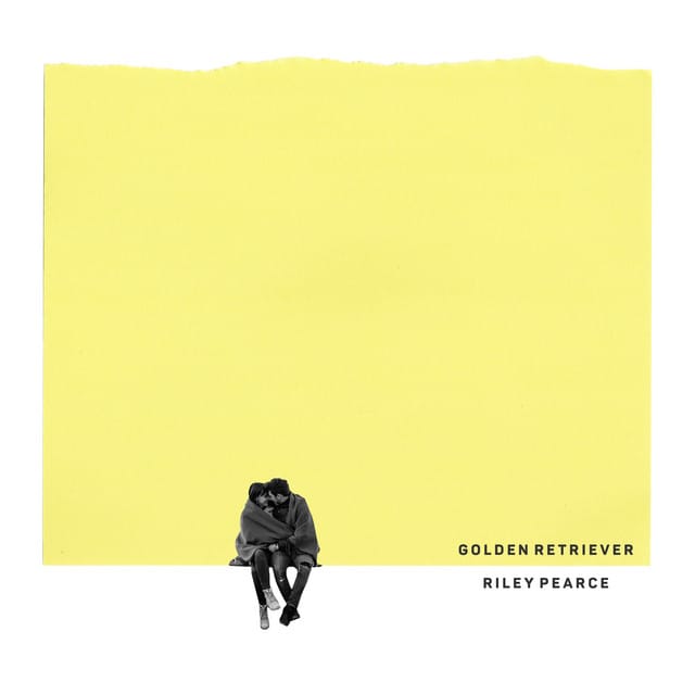 Golden Retriever - Single