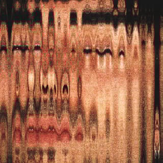 El Arte de Morir muy Despacio