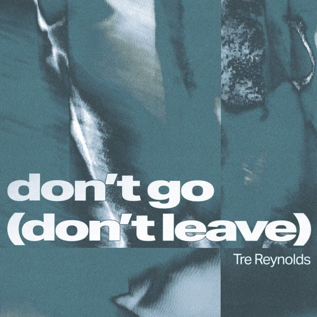 Don’t Go (Don’t Leave) - Single