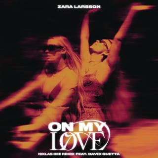 On My Love (feat. David Guetta) [Niklas Dee Remix]