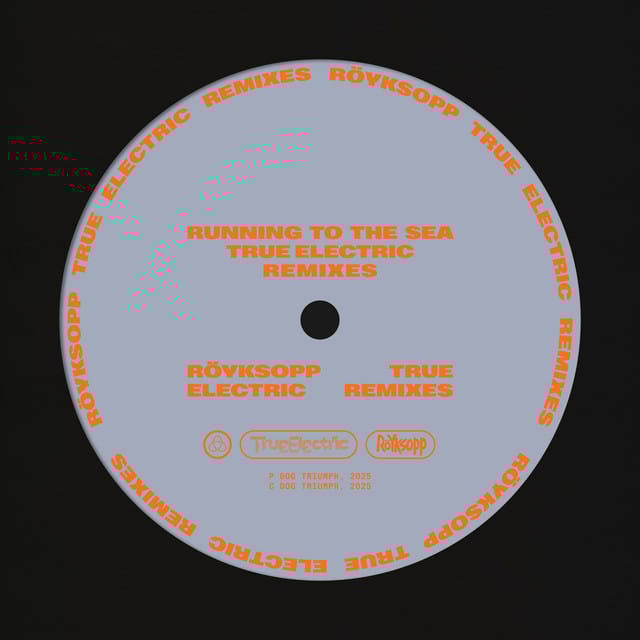 Running To The Sea (True Electric Remixes)