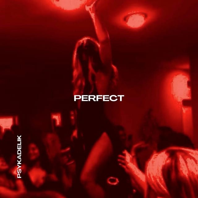 Perfect (Techno)