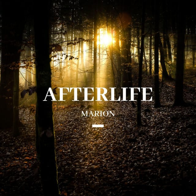 Afterlife