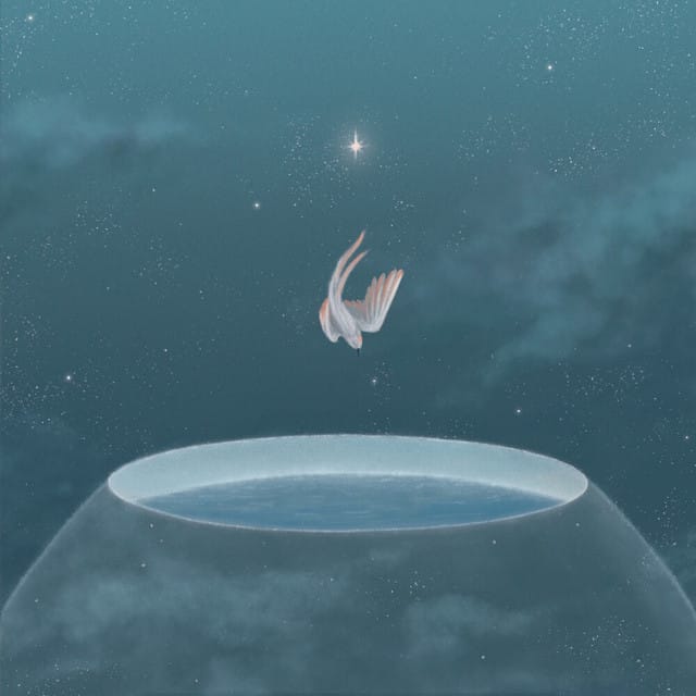 No Wind