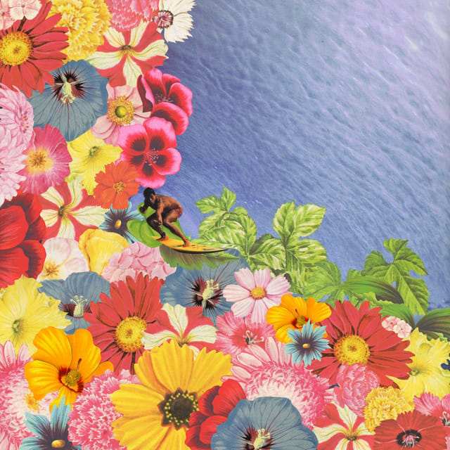 Swimming in the Lotus Garden - Single