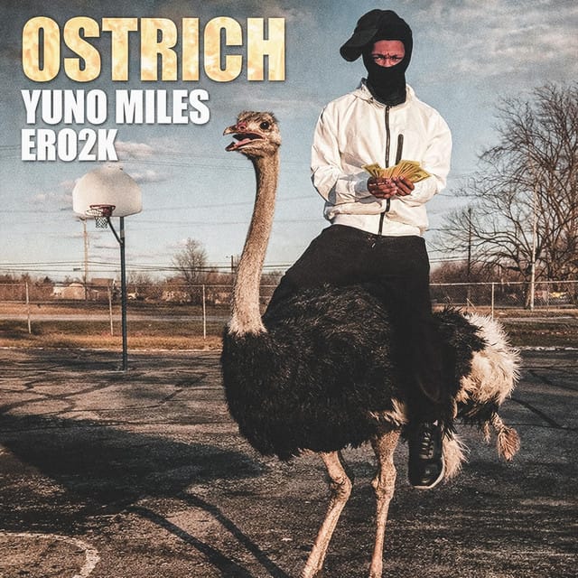 Ostrich
