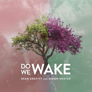 Do We Wake