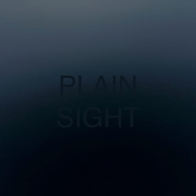 plain sight - Single