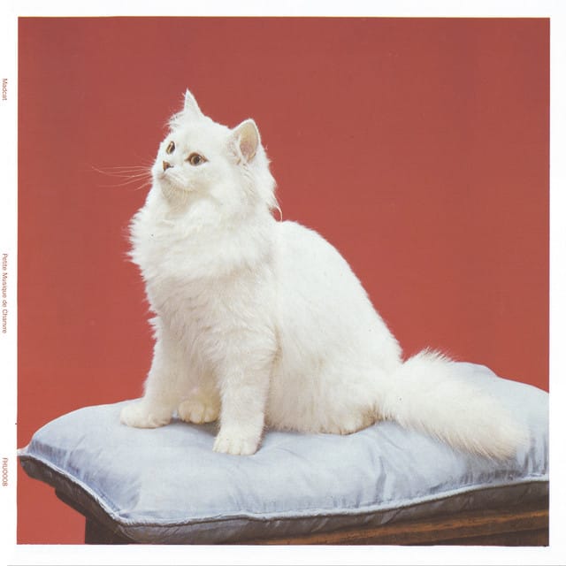 Petite musique de chanvre
