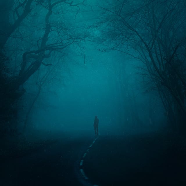 snowfall (slowed + reverb)