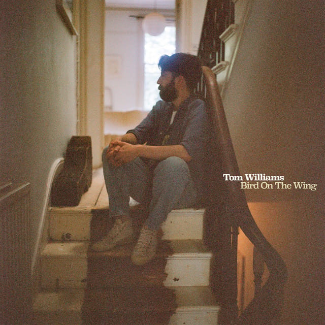Bird on the Wing - Single