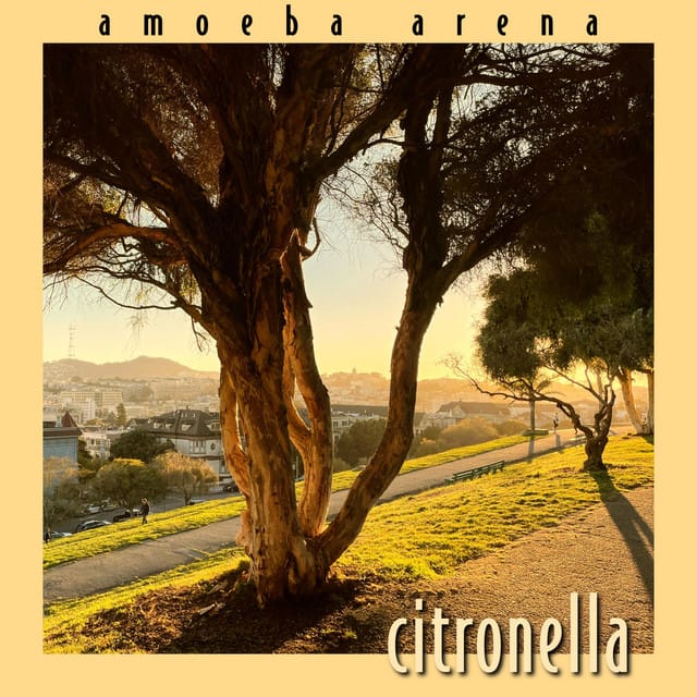 Citronella - Single