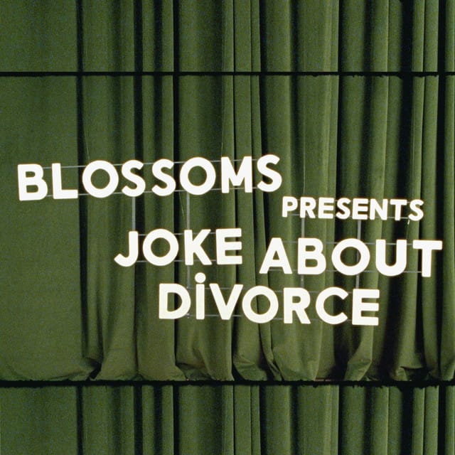 Joke About Divorce - Single
