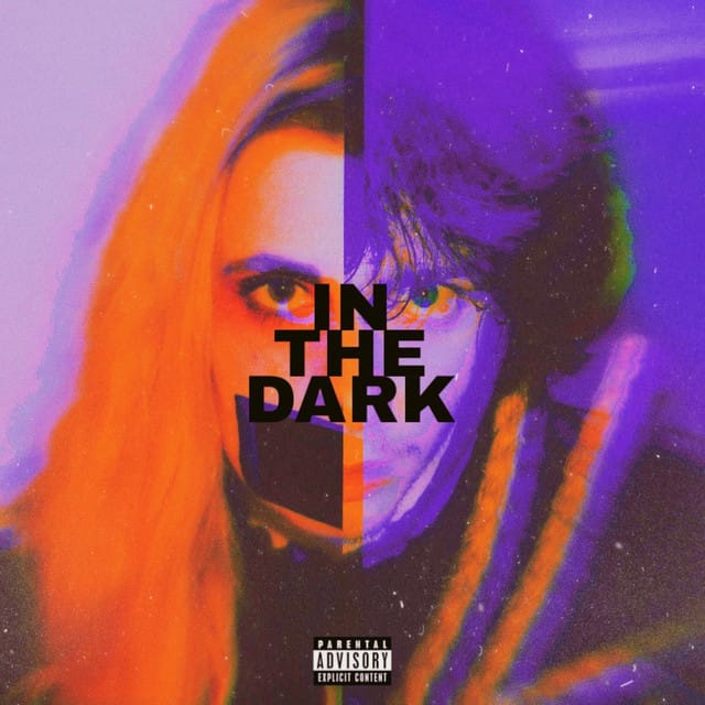 IN THE DARK