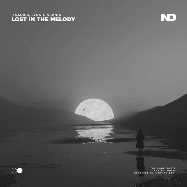 Lost In the Melody
