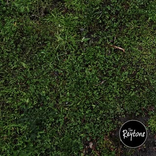 K.O.T.E. - EP