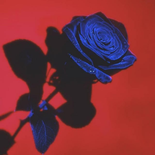 What Can I Do (Slowed)