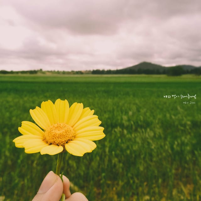 나의 별