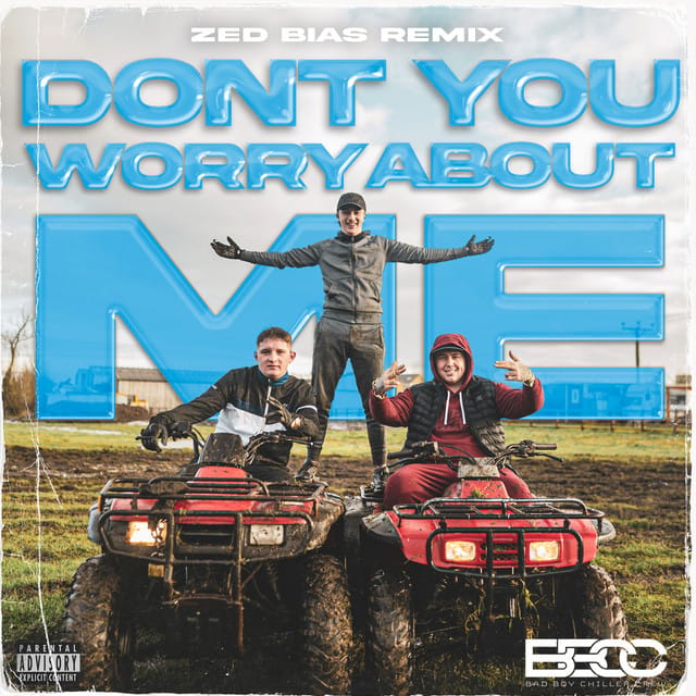 Don’t You Worry About Me (Zed Bias remix)