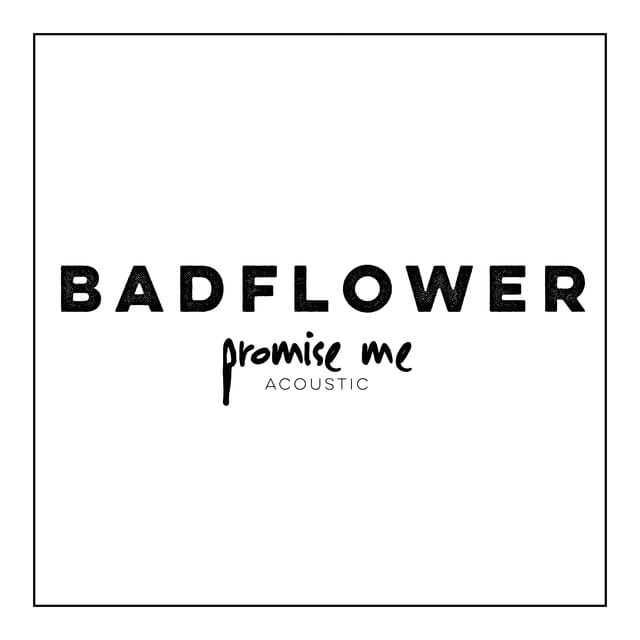 Promise Me (acoustic)