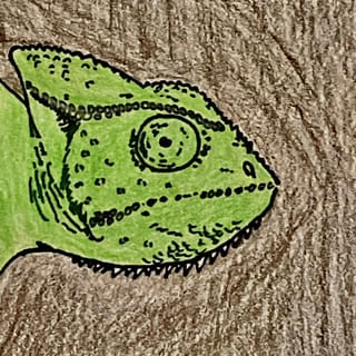 The Chameleon