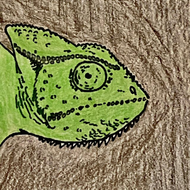 The Chameleon