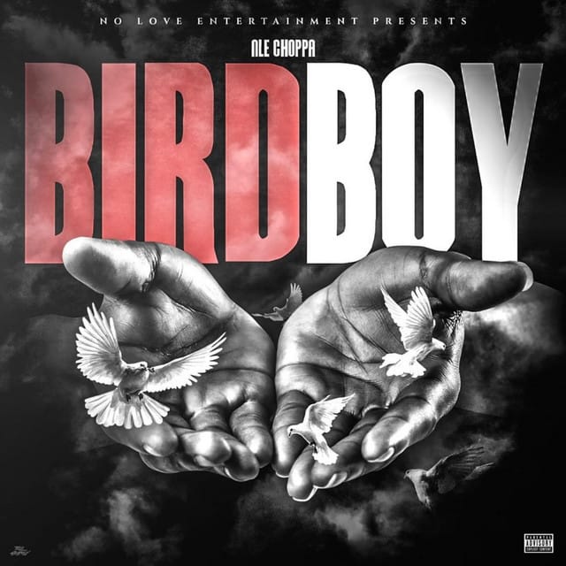 BIRDBOY