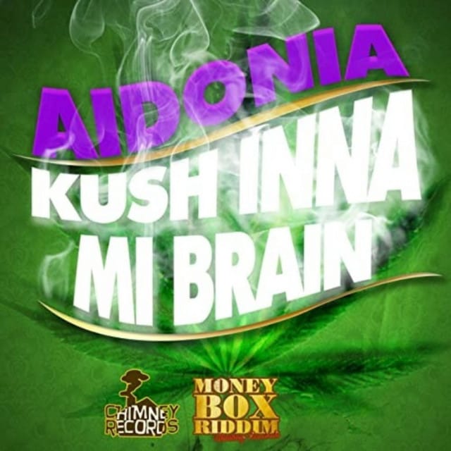 Kush Inna Mi Brain - Single