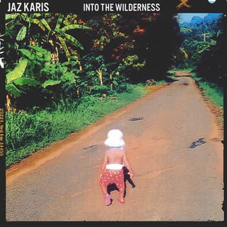 Into the Wilderness