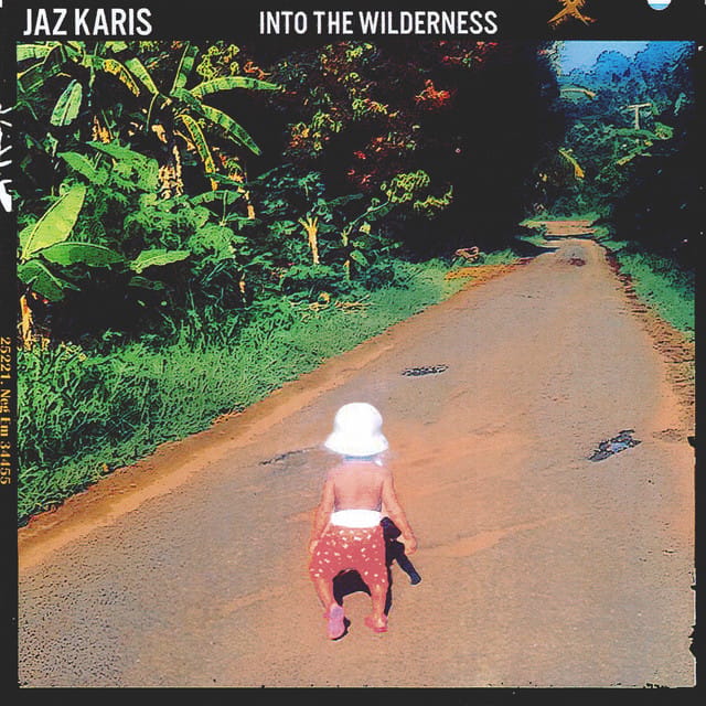Into the Wilderness