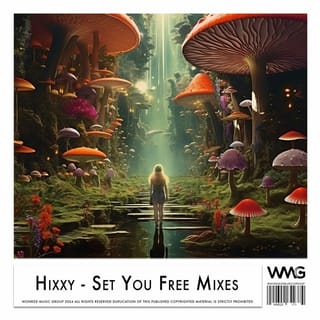 Set You Free Mixes