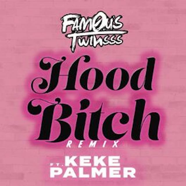 Hood Bitch (Remix)