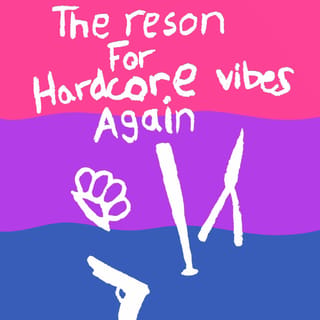 The Reson for Hardcore Vibes (Again)