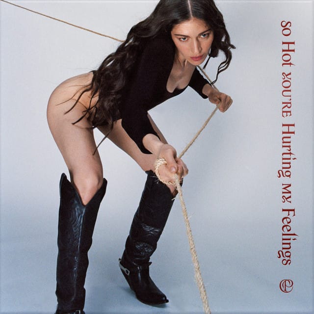 So Hot You're Hurting My Feelings - Single