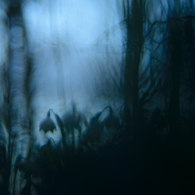 Stay - Single