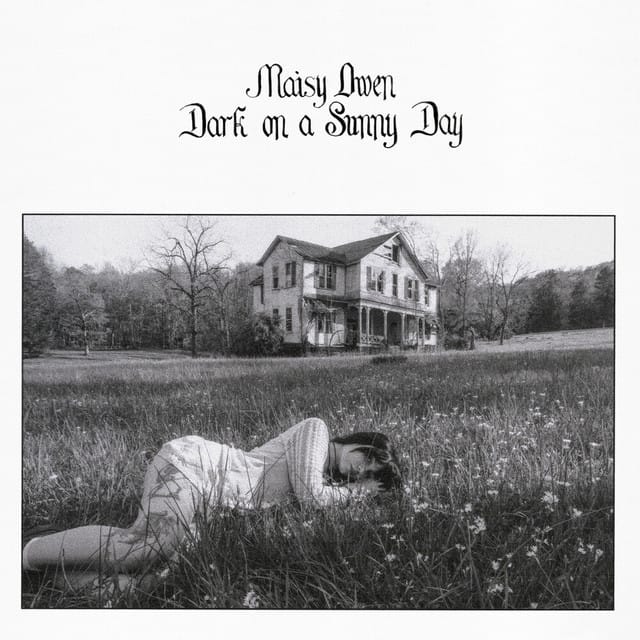 Dark on a Sunny Day