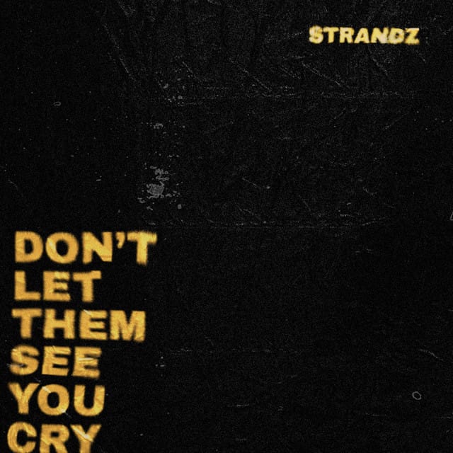 Don't Let Them See You Cry - Single