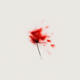 Hurt You