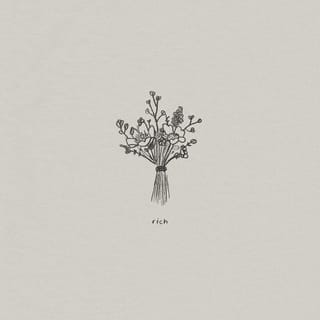 Rich - Single