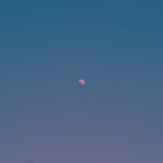 But There's Still the Moon