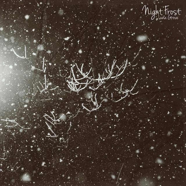 Night Frost - Single