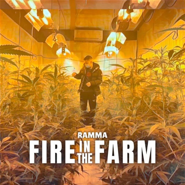 Fire In the Farm - Single