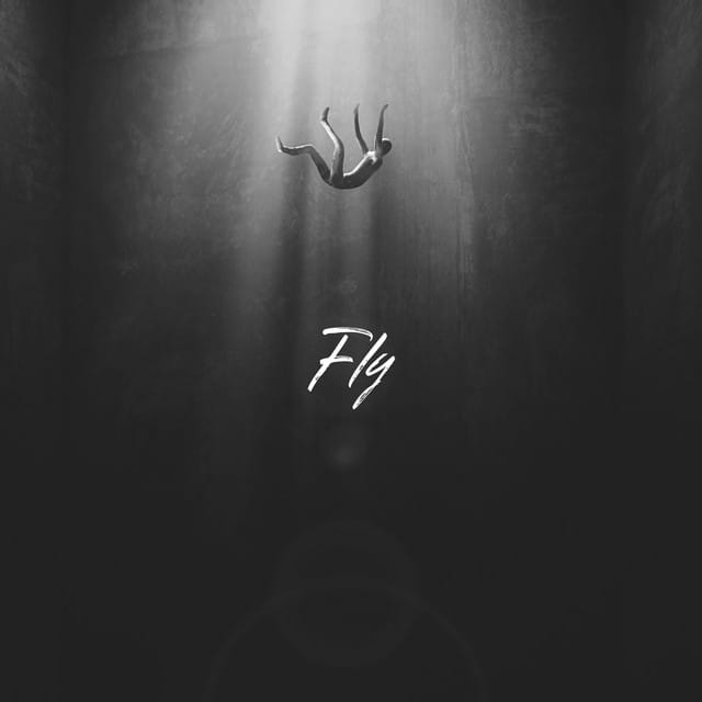Fly