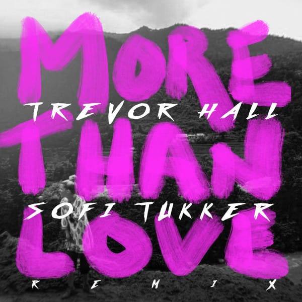 More Than Love (Sofi Tukker Remix)