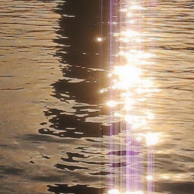 blissful lights - Single