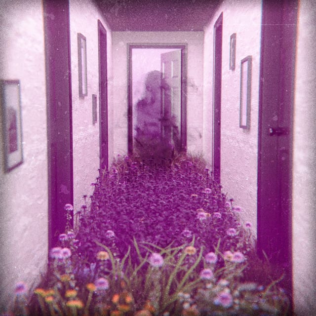 Hardship Always Brings A Friend - Single